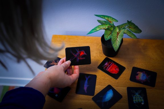 Bildkarten Eine Hand hält eine Karte über einem Tisch mit weiteren Karten und einer kleinen Pflanze.